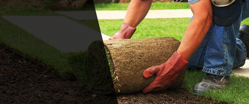 Barboursville Landscapers